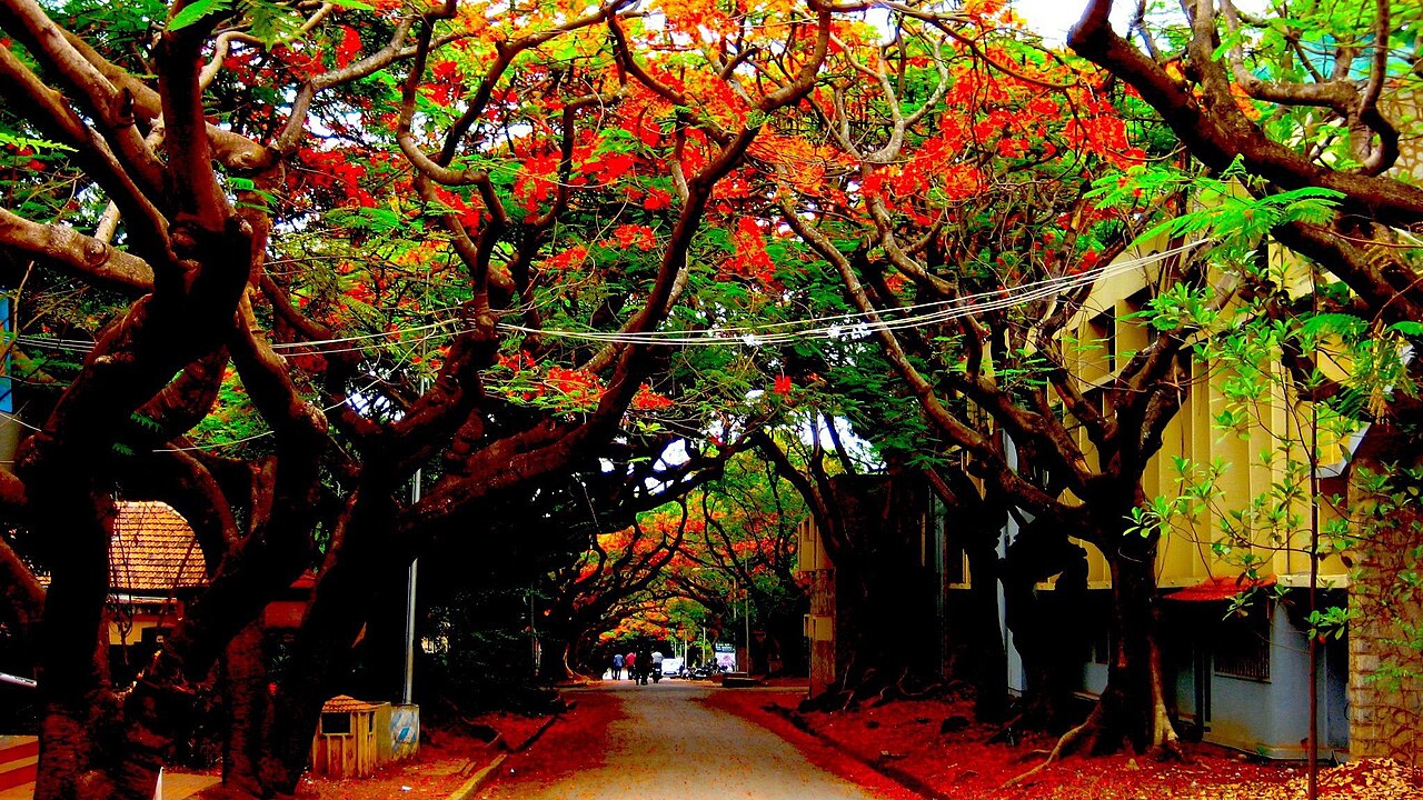 Indian Institute of Science campus