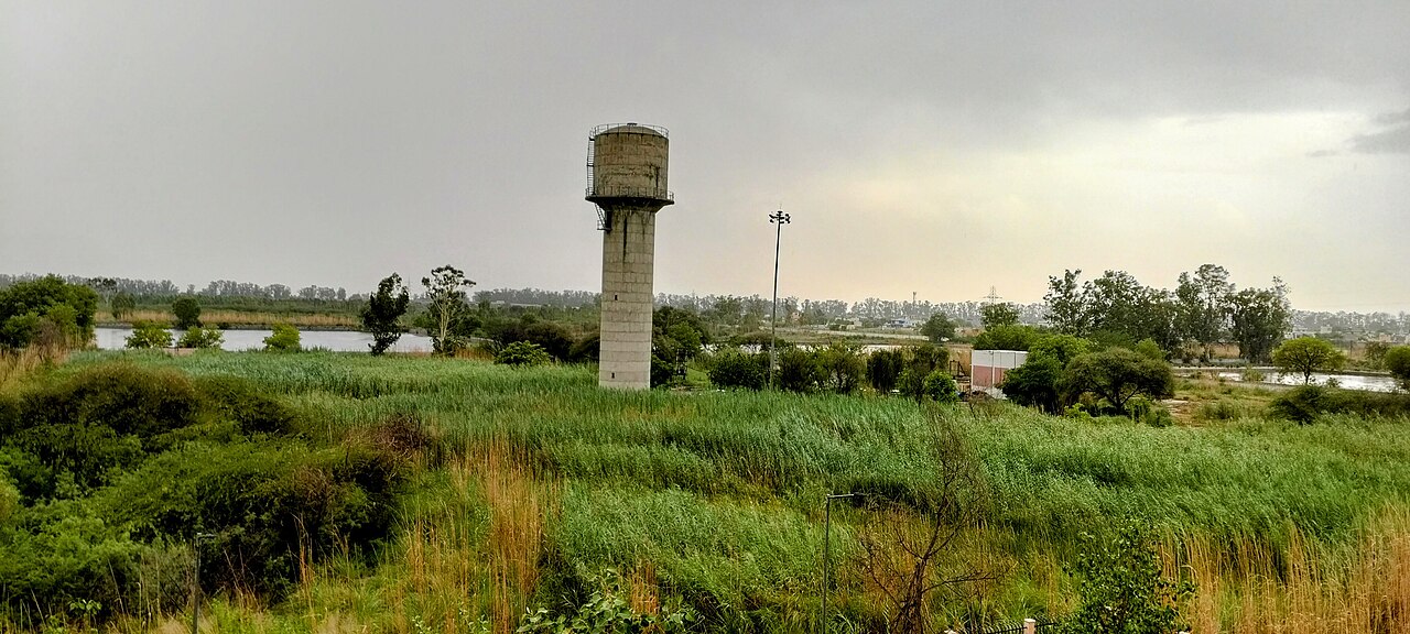 Pt. B.D. Sharma PGIMS Rohtak campus